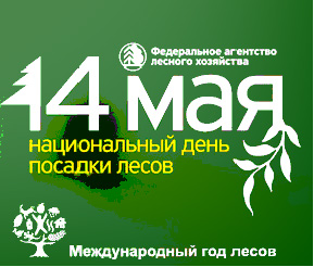 Посади свой лес! 14 мая - Национальный день посадки лесов